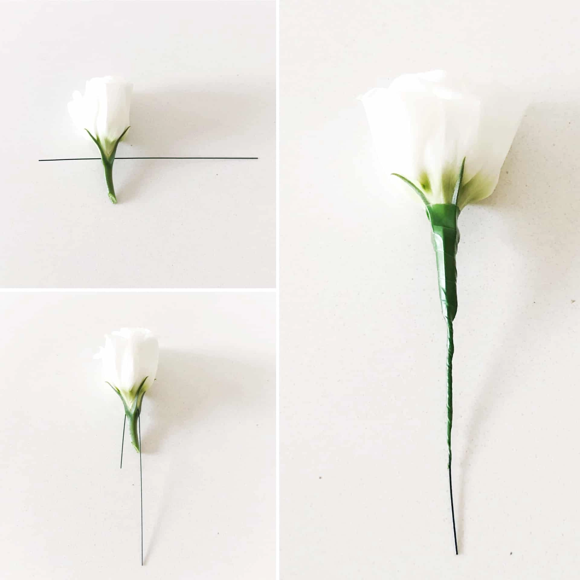 Why and How to Wire and Tape Flowers