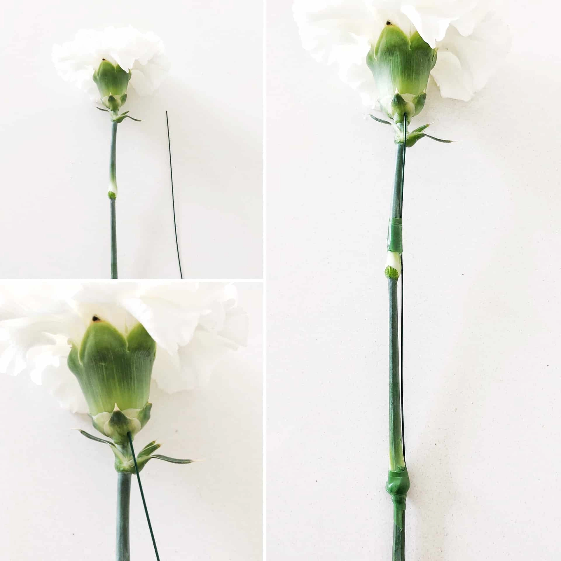 Wiring a fresh flower stem 